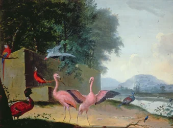 En samling exotiska fåglar, inklusive flamingos, papegojor och en Lady Amherst-fasan.